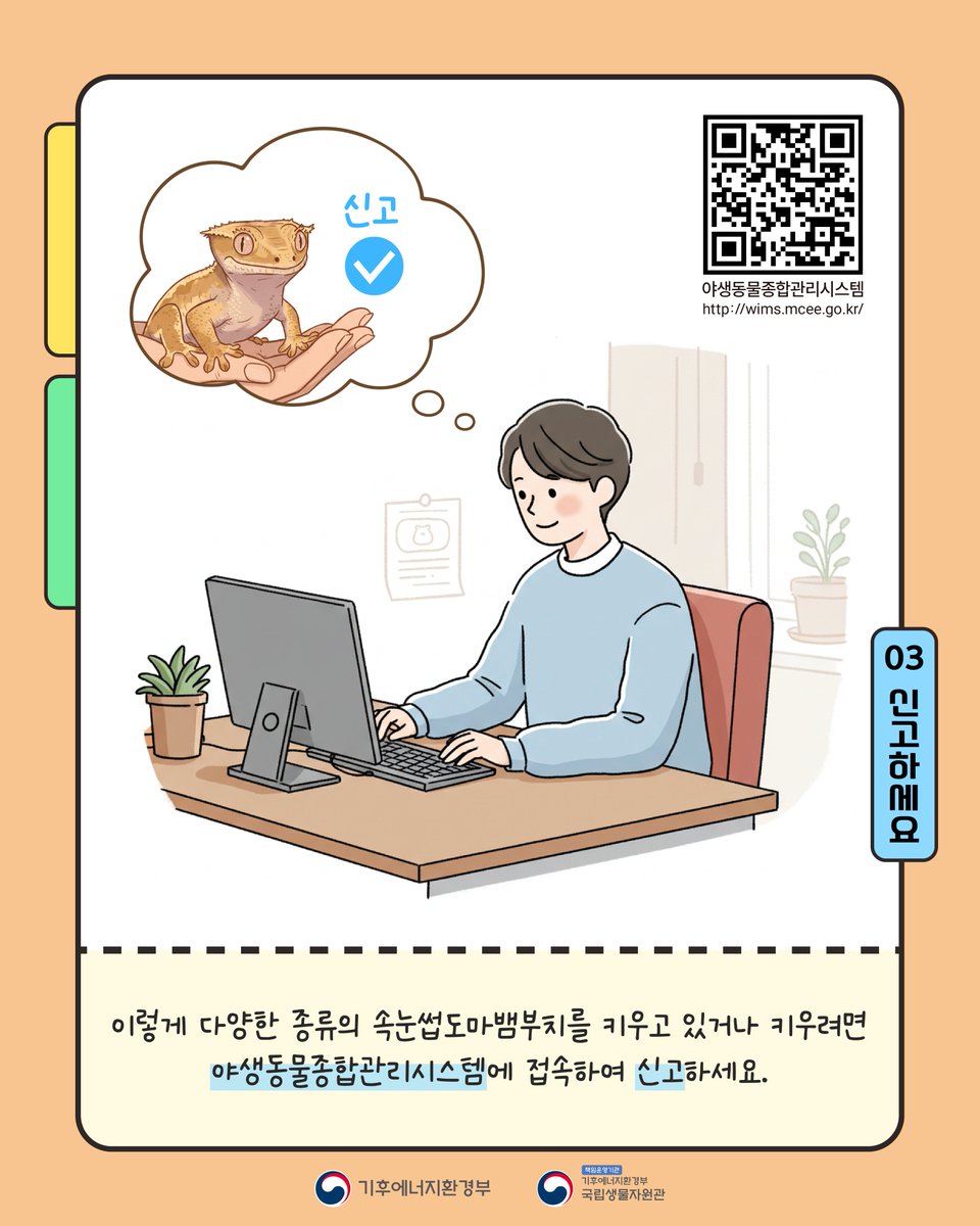 nibr_bio's tweet photo. 속눈썹도마뱀부치,
눈 위로 튀어나온 여러개의 돌기가
속눈썹을 닮아 붙여진 이름이에요.
.
속눈썹도마뱀부치는 다양한 색과 무늬에 따라
릴리화이트, 아잔틱, 카푸치노 등 여러 이름으로 불리어져요.
.
다양한 색과 무늬를 가졌지만, 사실 모두 같은종이랍니다. 
.
속눈썹도마뱀부치를 키우고 계신가요?
만약 키우고 계신다면, 12월 14일부터 운영되는 야생동물종합관리시스템에서 ‘보관신고’ 해주세요!
.
#국립생물자원관 #nibr #기후에너지환경부 #속눈썹도마뱀부치 #크레스티드게코 #백색목록 #야생생물법 #보관신고