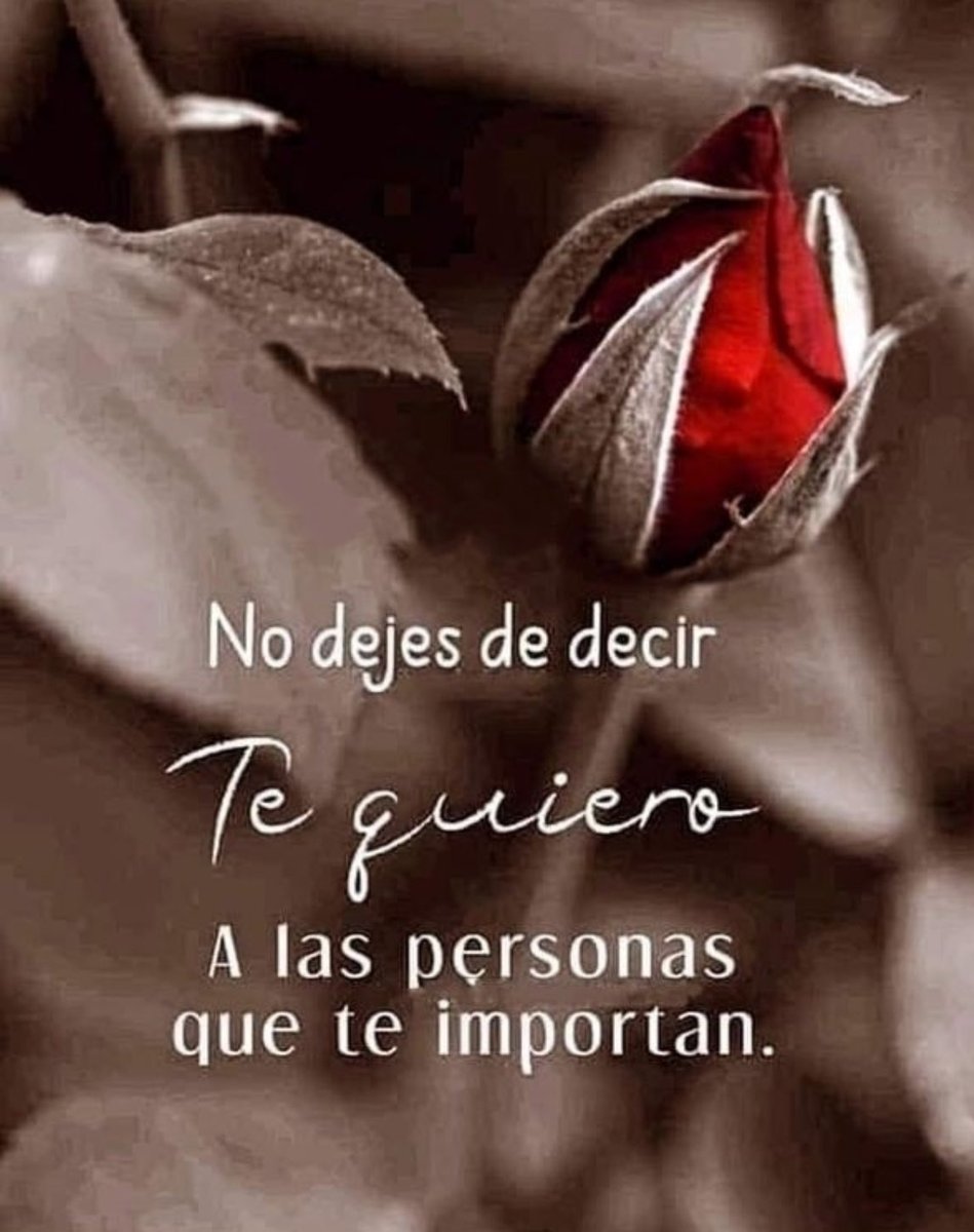 forerus's tweet image. Buenos días!! Fríos, sin lluvia y primer día de un mes que me encanta. Acaba uno que para mí resultó maravilloso y sorprendente así que vamos a respirarlo y sentirlo con calma. Antes…Café a sorbos pequeños ☕️🦋😘