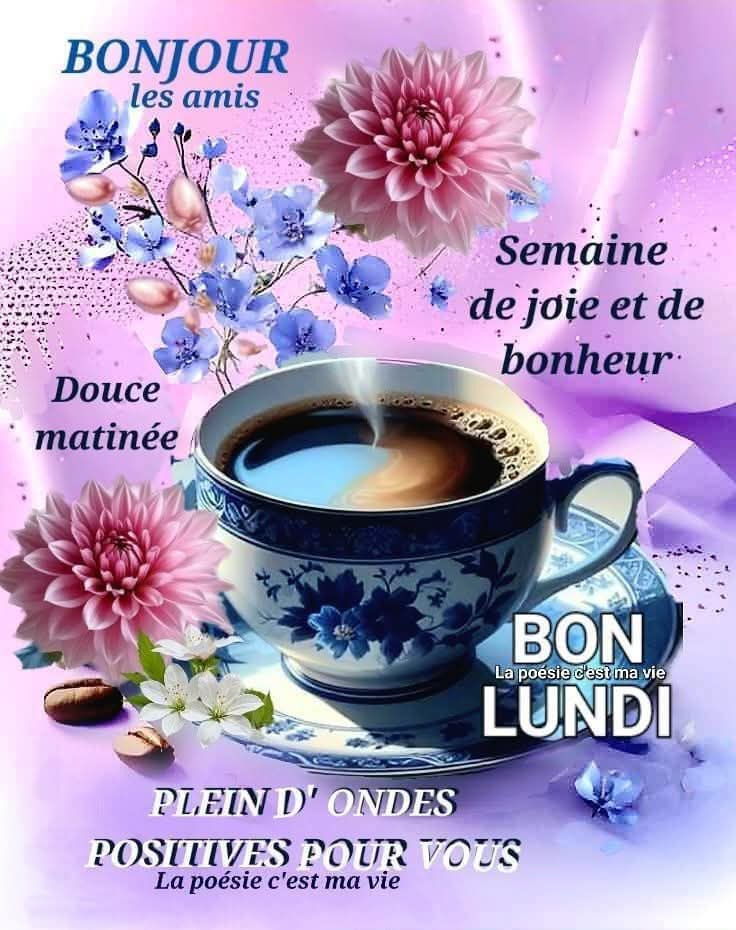 Alialgerois Aliloux tweet media