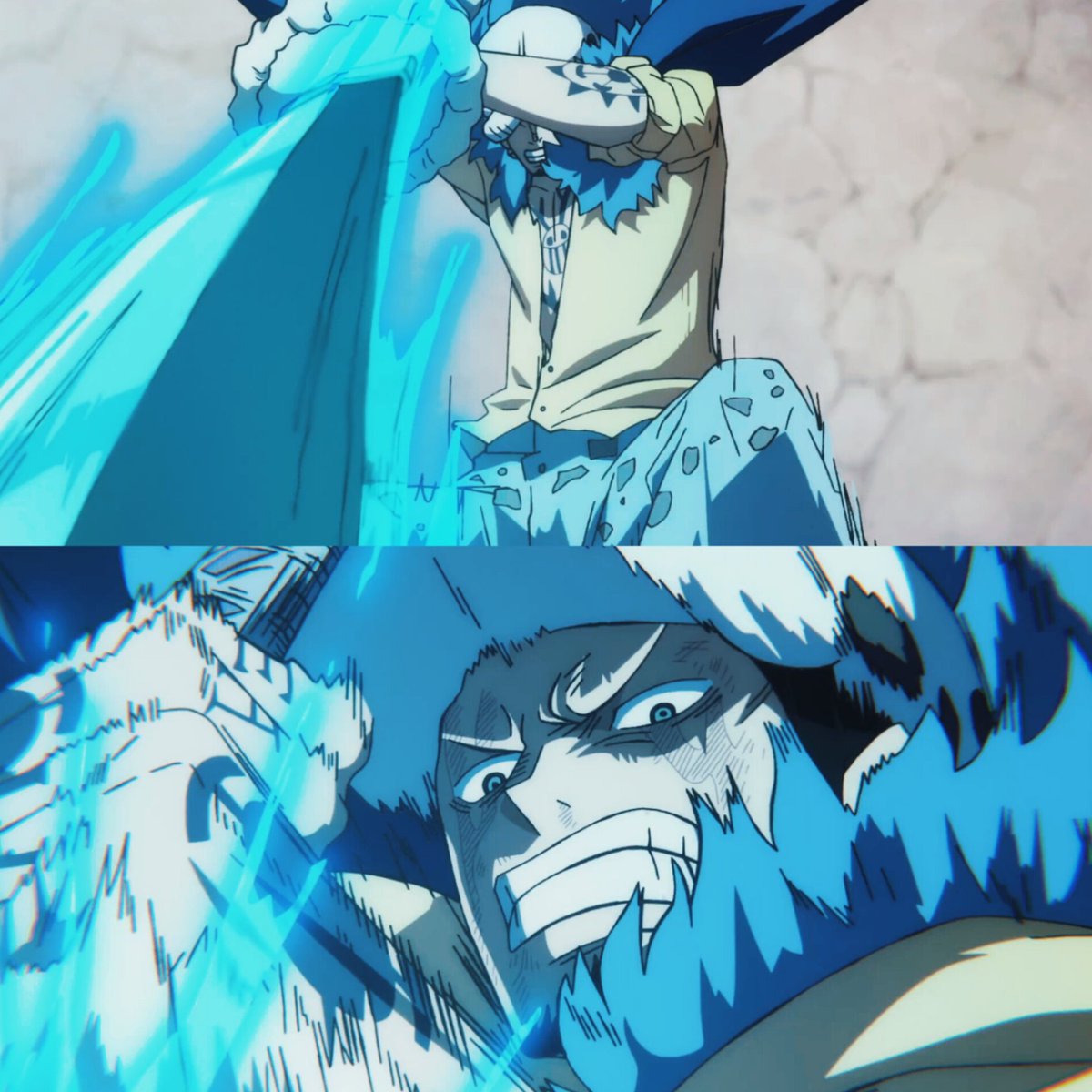 Daily Traffy 🐯 (@toralawnigiri) on Twitter photo 