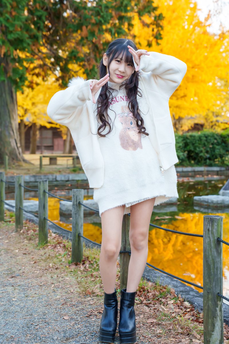 いちょうまつり① みるくちゃん (@miruku_6005 ) ↓みるくちゃんの新