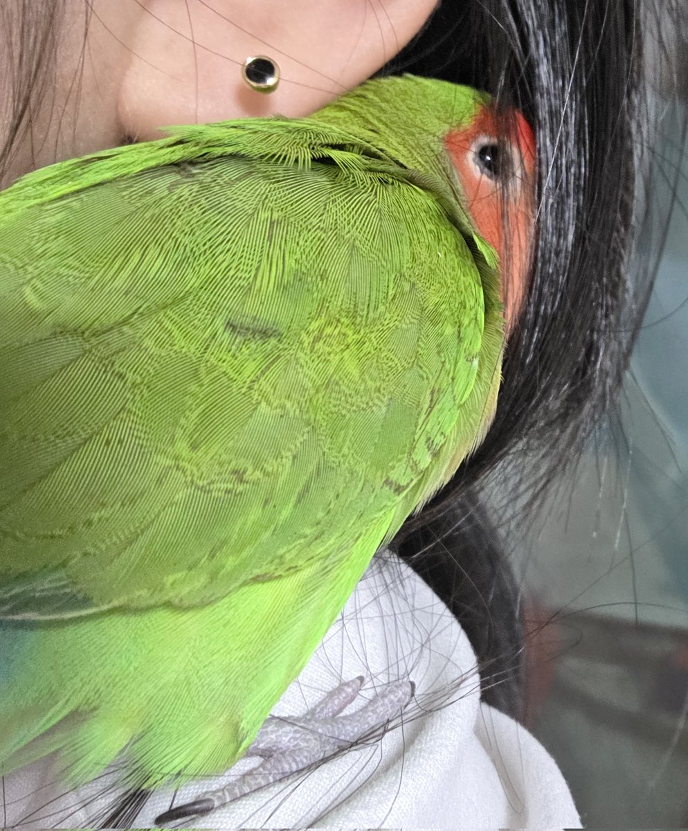 겨울이라서 잘 파고든다