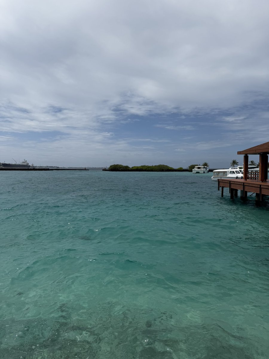 ye.koi✌️ tweet media