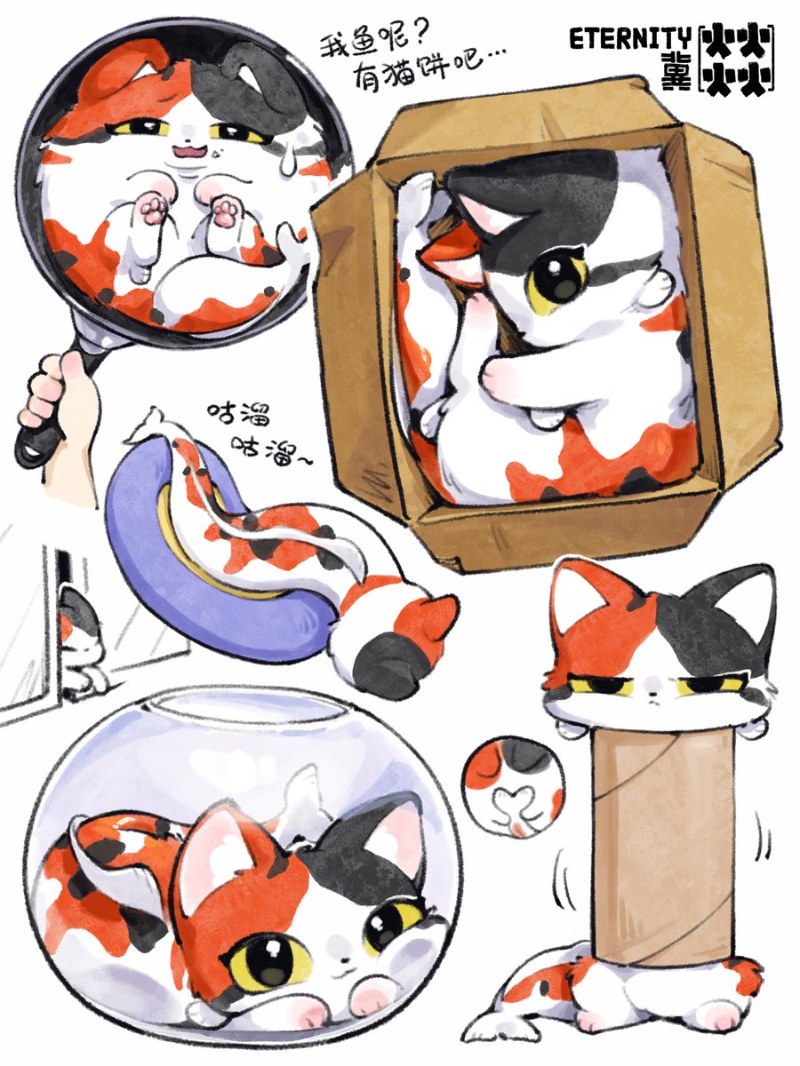 Eternity冀燚 tweet media