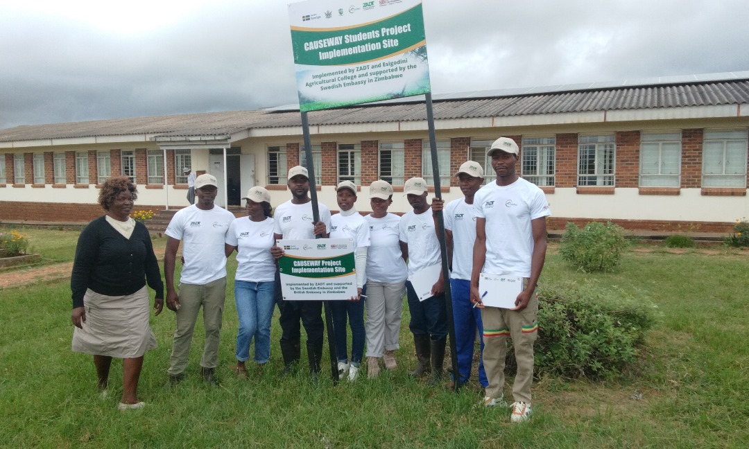 zadtonline's tweet image. A major milestone for Green Genius Hydroponics!
The group of 10 students at Esigodini College has just completed transplanting their first 800 hydroponic plants, marking a big step forward in their smart agriculture journey.