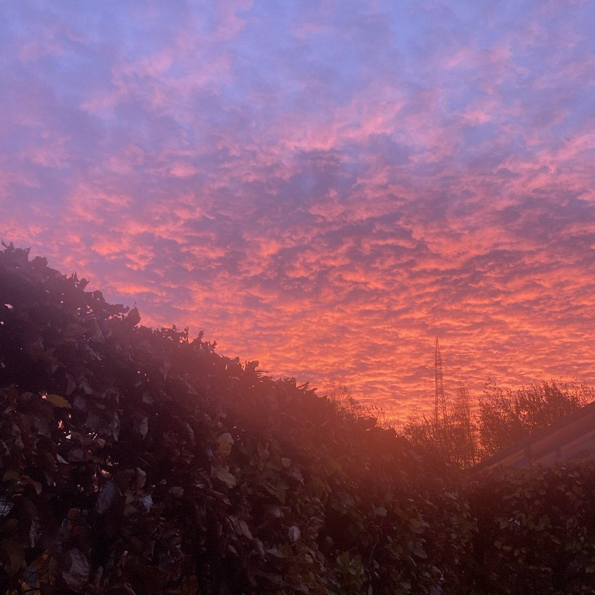 #vrtweer <a href="/Weerbord/">Weerbord☀️☔️</a> <a href="/MeteovistaBe/">meteovista.be</a> <a href="/HetweerinBelgie/">Meteo Reni - Het weer in België</a> <a href="/NoodweerBenelux/">NoodweerBenelux</a> <a href="/BuienradarBE/">BuienradarBE</a> <a href="/mooieluchten/">mooieluchten</a> <a href="/HendrikRemue/">hendrik.remue@gmail.com</a> 
Melle, 01/12, 08.18,