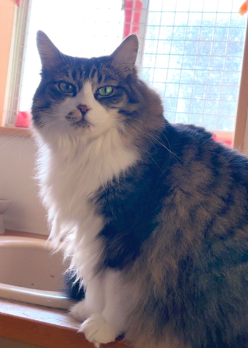 あんどわん tweet media