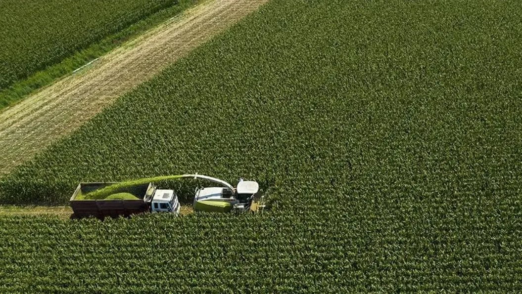 İzmir'de haciz aldı başını yürüdü: Hayvan yemi bile icralık!

✏️NURCAN ETİK /YENİGÜN

📌İzmir’de 2025 yılında haciz gelen mülk ve araç sayısı aldı başını yürüdü. Türkiye’de tarımın şirketleştirildiğini söyleyen uzmanlar önümüzdeki günlerde hayvan yemleri de dahil tarım ürünlerine