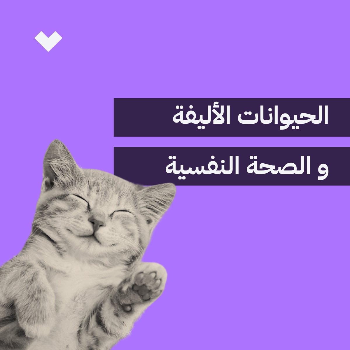🧵 هل لديك حيوان أليف؟ أو هل لازلت تفكر في مشاركة منزلك مع كلب ، قطة أو حتى عصفور، لكنك تتساءل كيف قد يغير هذا حياتك؟
هذا الثريد مكتوب خصيصاً لك !
تابع القراءة لمعرفة تأثير الحيوانات الأليفة على صحتك النفسية🐰

1⃣كبداية، هل تعلم أن التفاعل مع الحيوانات قد يخفض من مستويات
