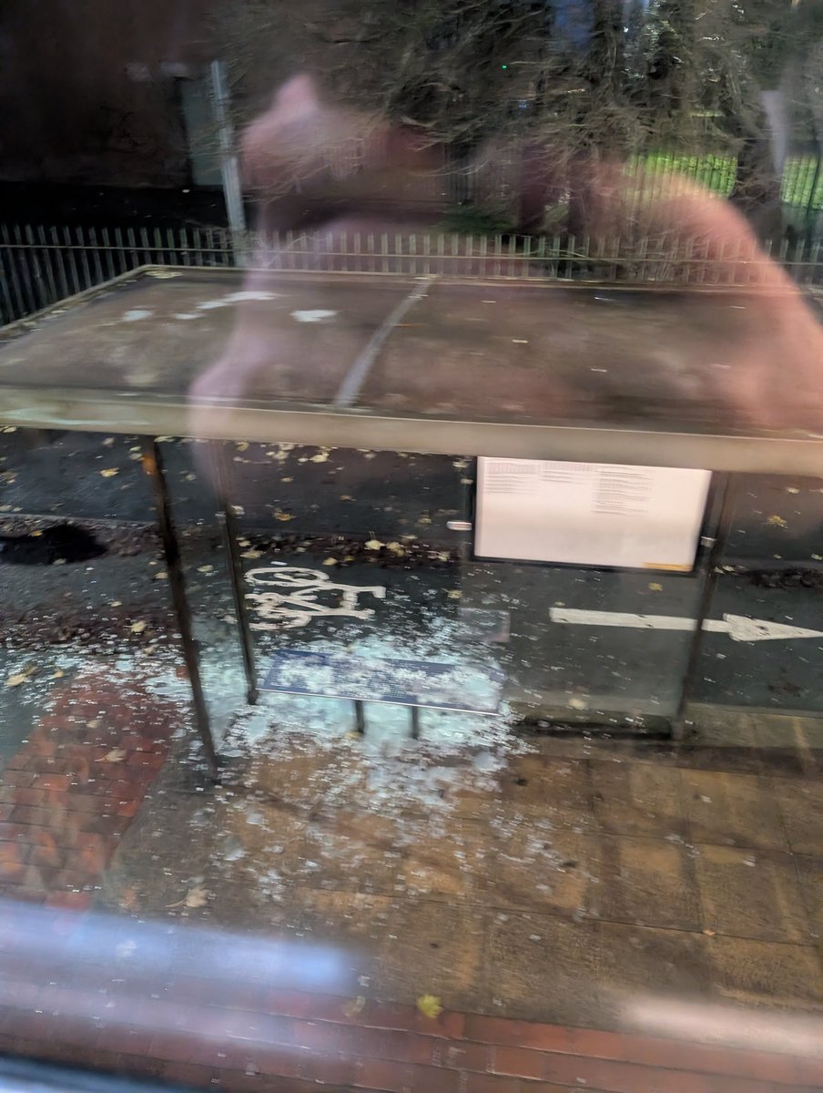 SteamyPanini's tweet photo. @BeeNetwork One of the glass panels on the bus stop Wilmslow Road / Platt Lane (Stop B) has been smashed with lots of glass around. https://t.co/4Asjnz3Av0