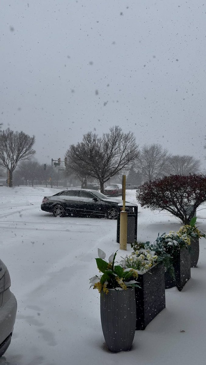 Baـشـar (@bashh70) on Twitter photo 