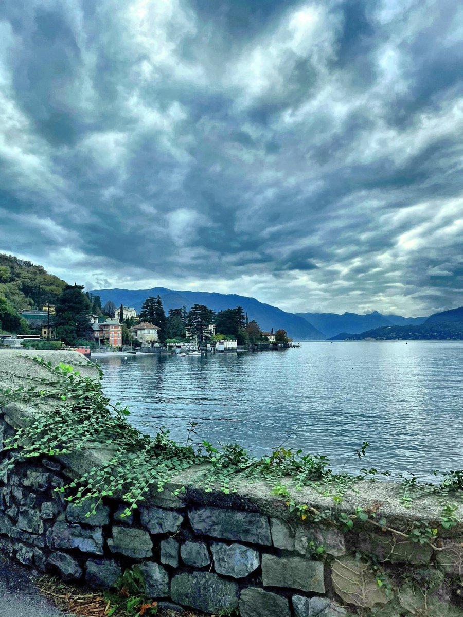 Happy new week! 🌲🌧️❄️