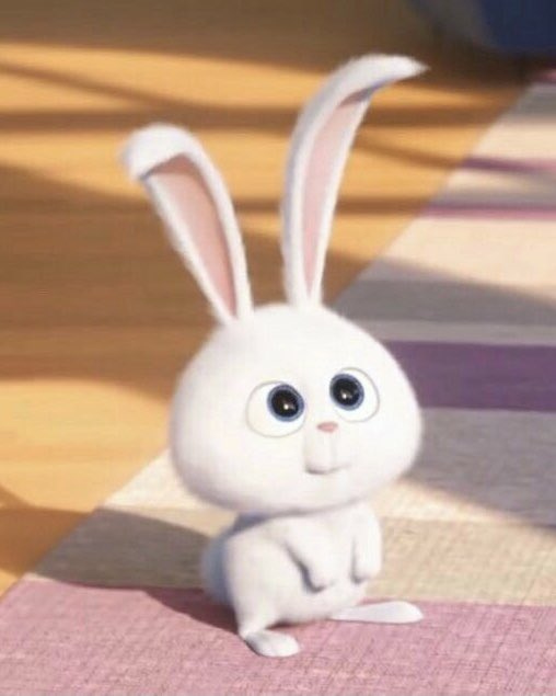 teevithe's tweet image. it looks similar 🐰🐰🐰