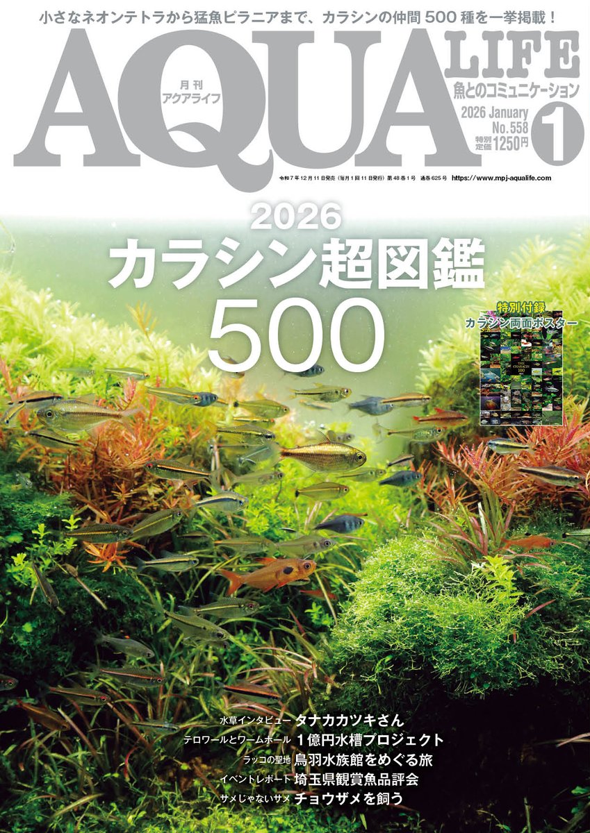 アクアライフ山田 (@ymdaqua) / Posts / X