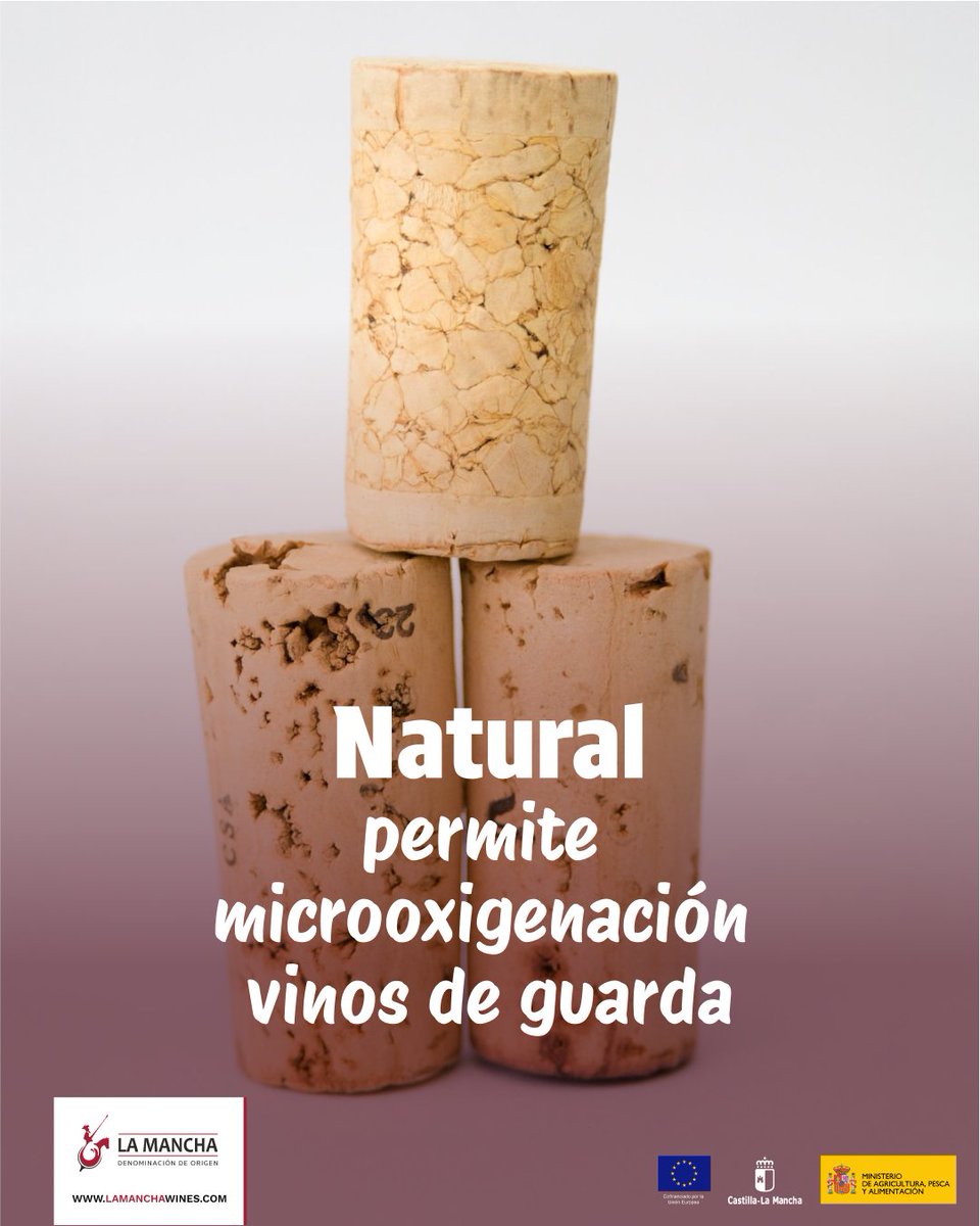 vinodelamancha's tweet photo. ¿Quieres aprender más sobre los diferentes tipos de corchos usados en el embotellado del vino?
.
Lee atento la siguiente publicación ✅
.
#vinodelamancha #vinosdecalidad #DOLaMancha #denominacióndeorigen #corchos #botellasdevino https://t.co/7bbod8BPFI