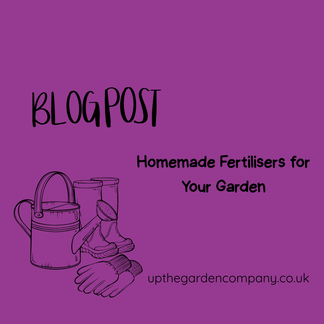 UpTheGardenCo's tweet photo. 🌿 Want greener, healthier plants — naturally?

👉 Check it out: https://t.co/oSpHmBUO90

#GardeningTips #OrganicGardening #HomeGarden #PlantCare #SustainableLiving #GreenThumb #GardenUK #CompostTea #WasteNotWantNot #SoilHealth https://t.co/rbR6gzHvi0
