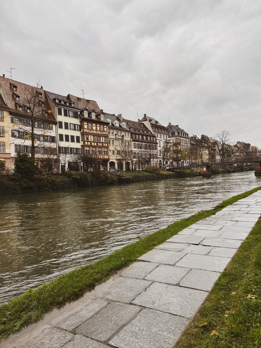 estrasburgo, la ciudad que odia a los coches y premia a las personas que pasean y van en bici. años de ventaja.