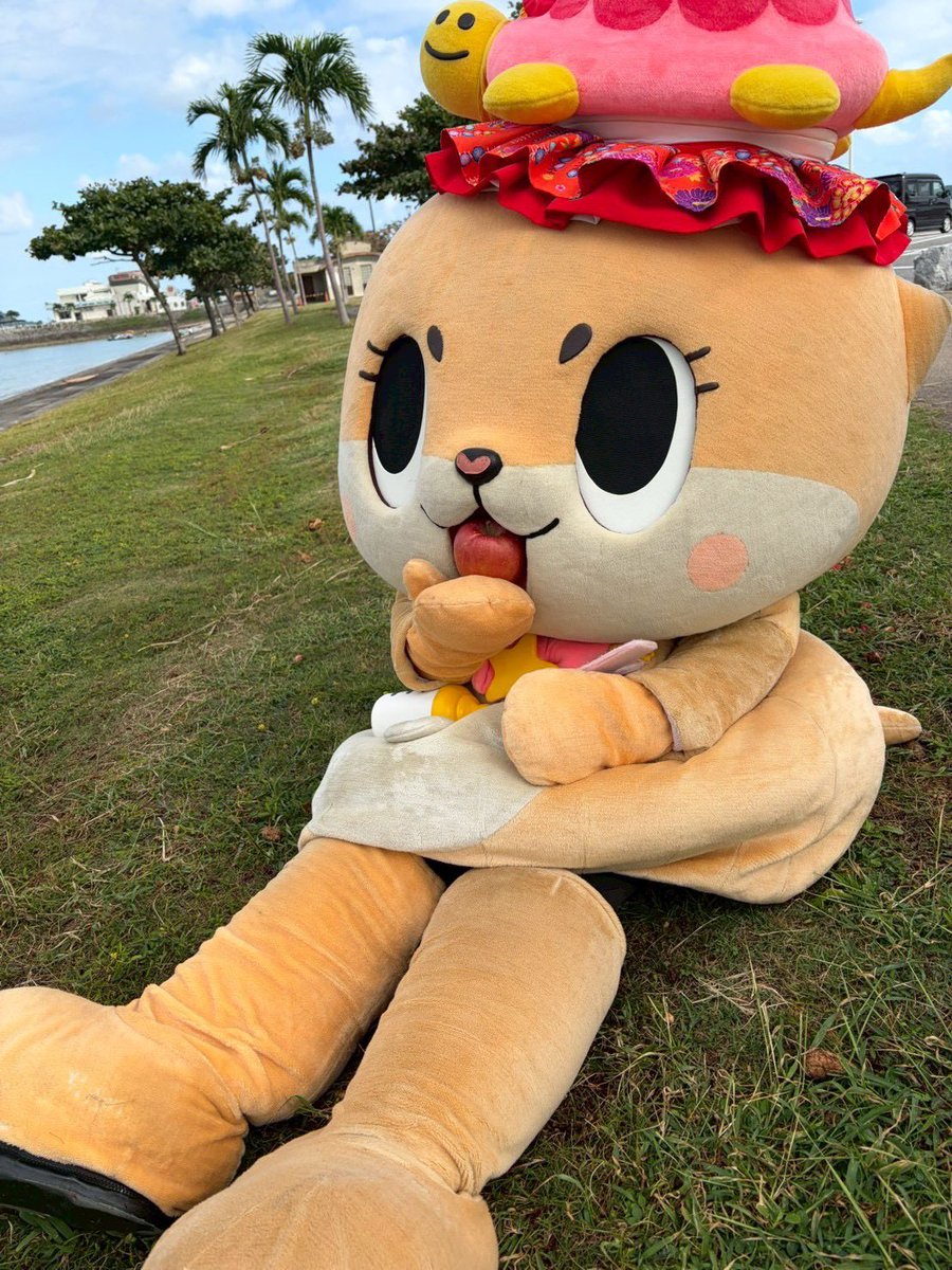 公式：ちぃたん☆沖縄 (@Chiitan_Okinawa) / Posts / X