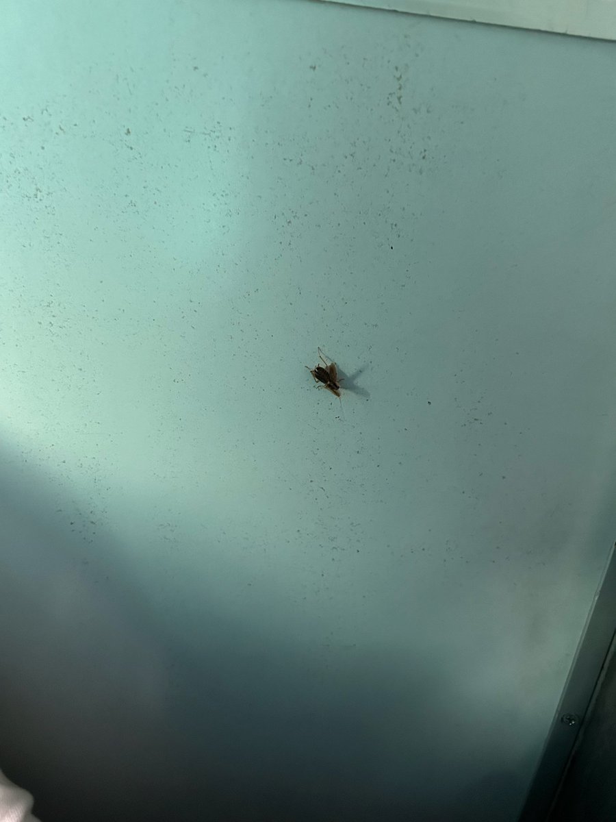 jaykishanchaurasiya120@gmail.com tweet media