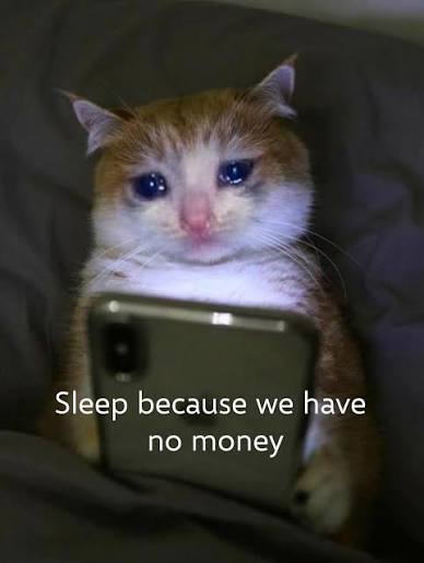 devchart's tweet image. GM,

How is everyone enjoying poverty again

$BTC