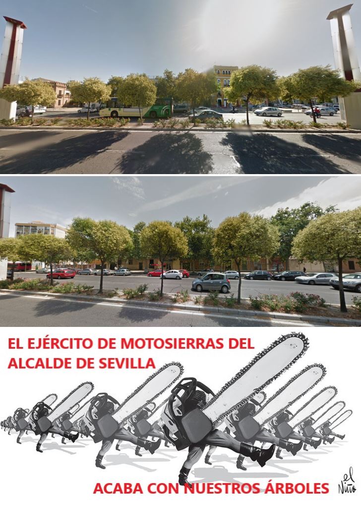 A esto llama <a href="/Ayto_Sevilla/">Ayuntamiento de Sevilla</a> "Gran #CorredorVerde".
En la mediana de #Torneo, en los tramos entre farolas, había 6 #Aligustres por tramo.
Si ven lo plantado, es un 50% menos de lo que había.
En noviembre, han publicado 154 #FichasDeApeo y faltan 64.
Así es⬇️
sevilla.org/servicios/medi…