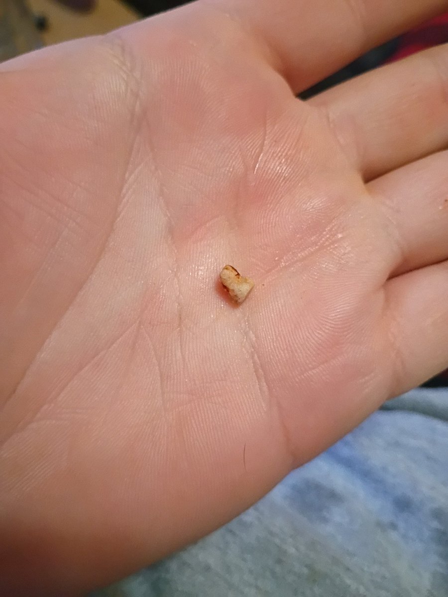 GT Bobiojeff tweet media