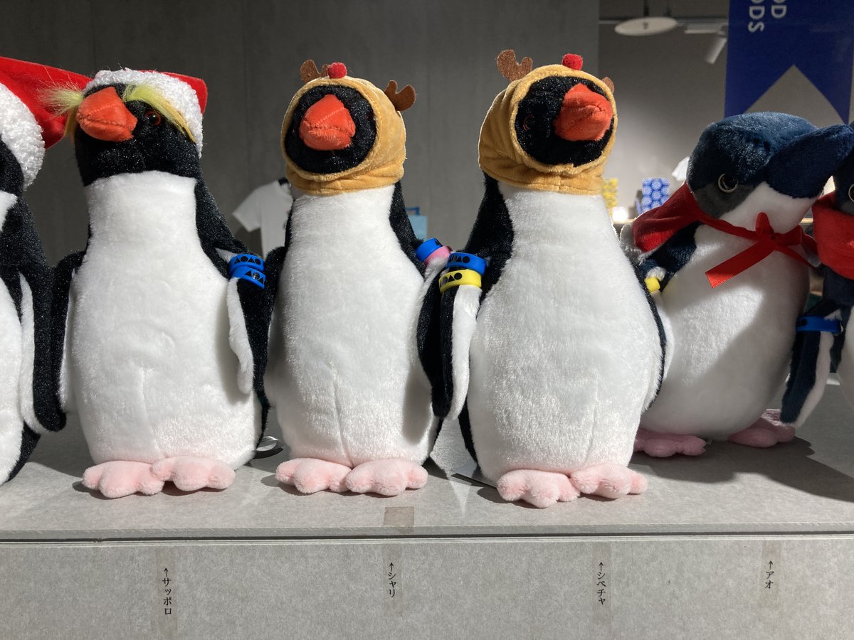 AOAO SAPPORO（アオアオ サッポロ） (@aoao_sapporo) / Posts / X