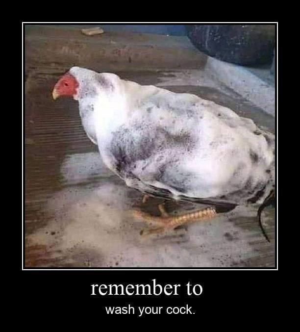 idkravitz ⌘ tweet media