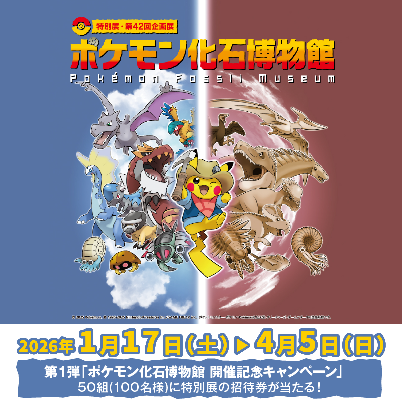 志保@ロマポル12/29 (@hitsu801) / Posts / X