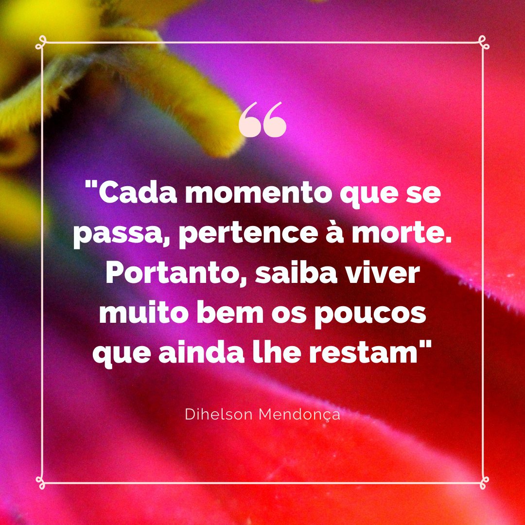 Dihelson Mendonça tweet media