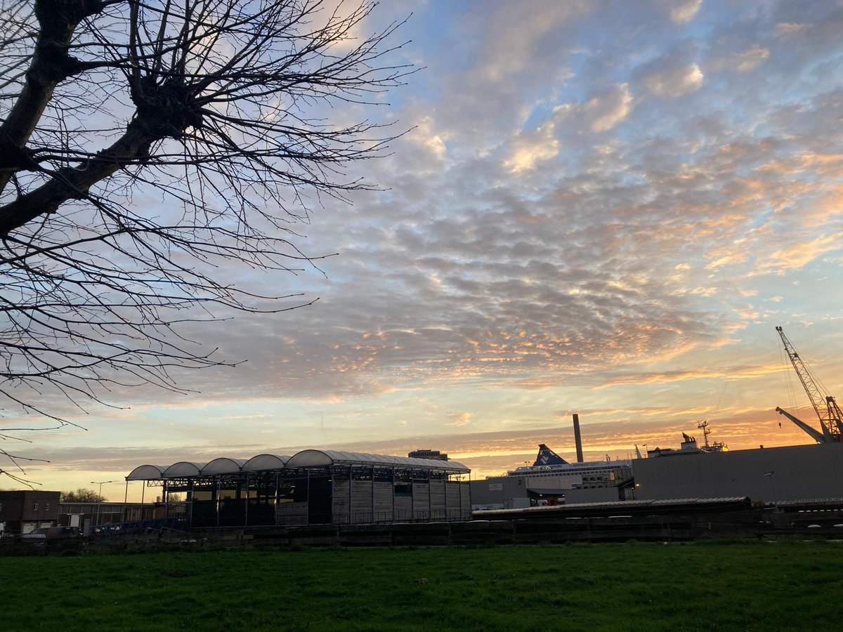 Leo van Gelder tweet media