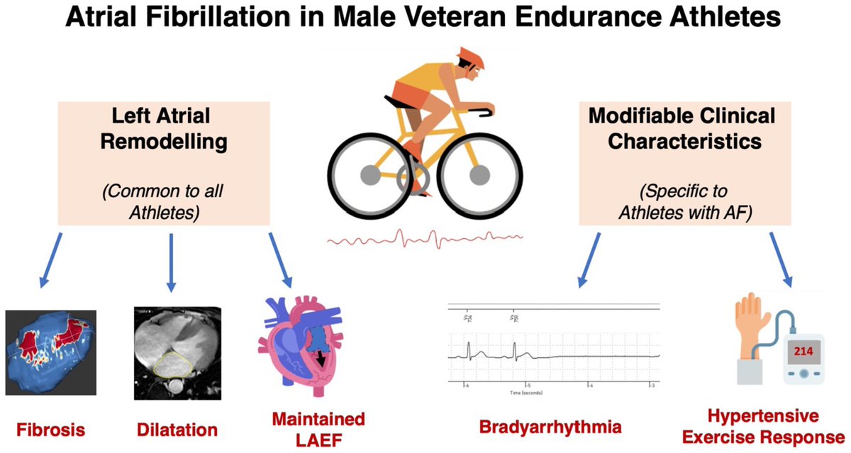 Sports_CardioNL's tweet image. Clinical and Cardiovascular Magnetic Resonance Characteristics of Veteran Male Endurance Athletes With Atrial Fibrillation: VENTOUX-AF
ahajournals.org/doi/10.1161/JA…
#Atrialfibrillation #Athletes #SportsCardiology #exerciseinducedhypertension