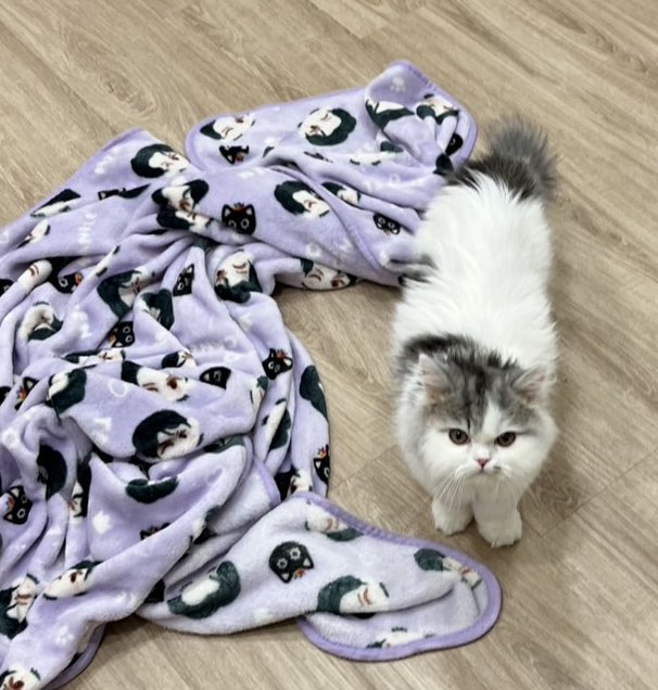 10vedec's tweet image. ขี้งอนมากกก เก็บสีหน้าไม่ได้ แสดงออกทางหน้าหมด522525