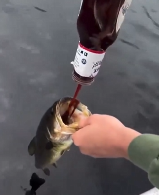 <a href="/PostinClips/">͏ Posting Clips</a>