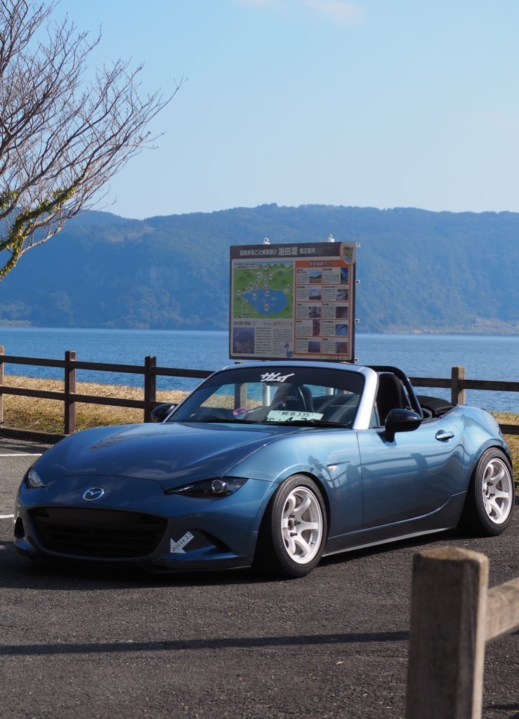 がーりー tweet media