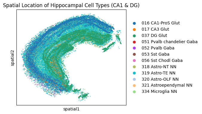 OluwapelumiSolagbade tweet media