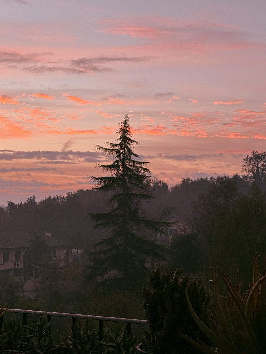 …Sistemo i miei dolori come posso,
vado di fretta.
Li metto nelle tasche
o li nascondo scioccamente sotto la pelle...
Jaime Garcia Terrés
#acasadimamma #alba