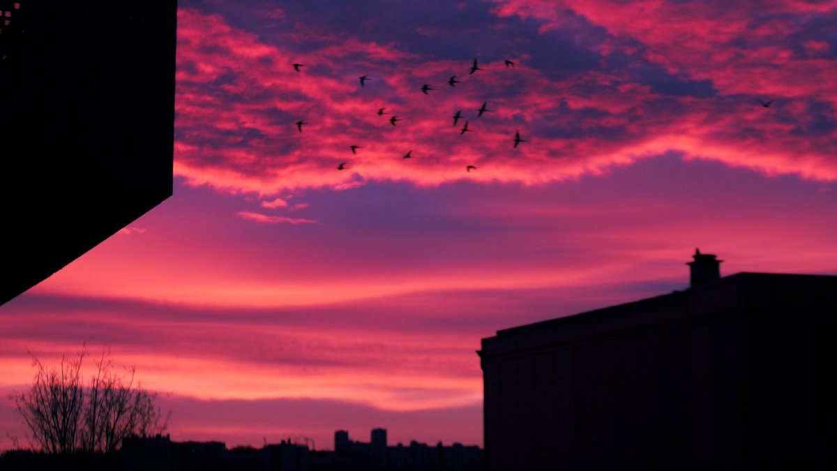 akr_tkn's tweet image. Ciel rose à Paris ce matin🌤️