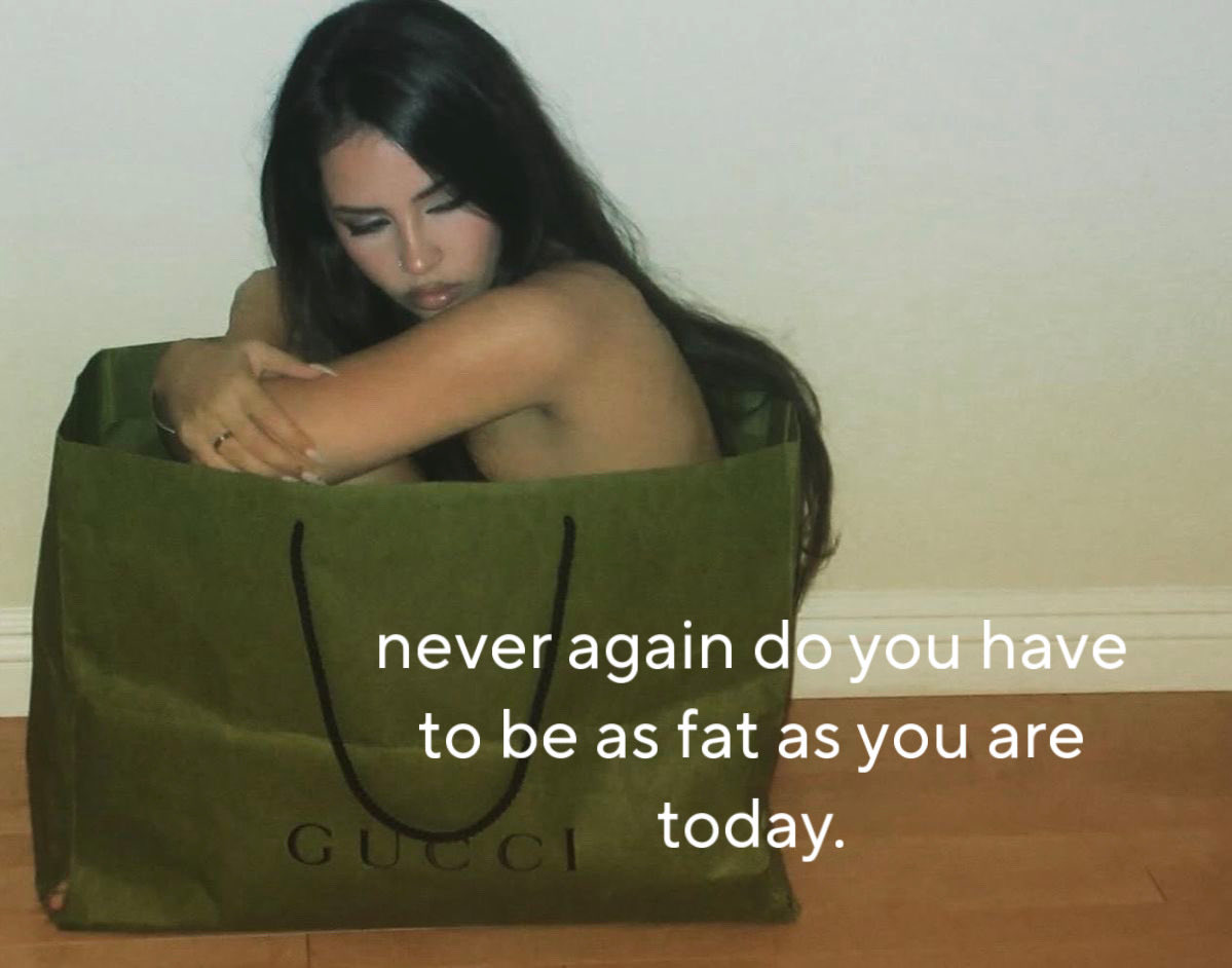 ּ ֶָ֢.nino tweet media