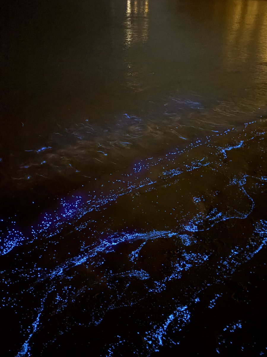 ٠ (@shayrakk) on Twitter photo 