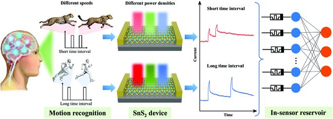 Cyborg and Bionic Systems Journal tweet media