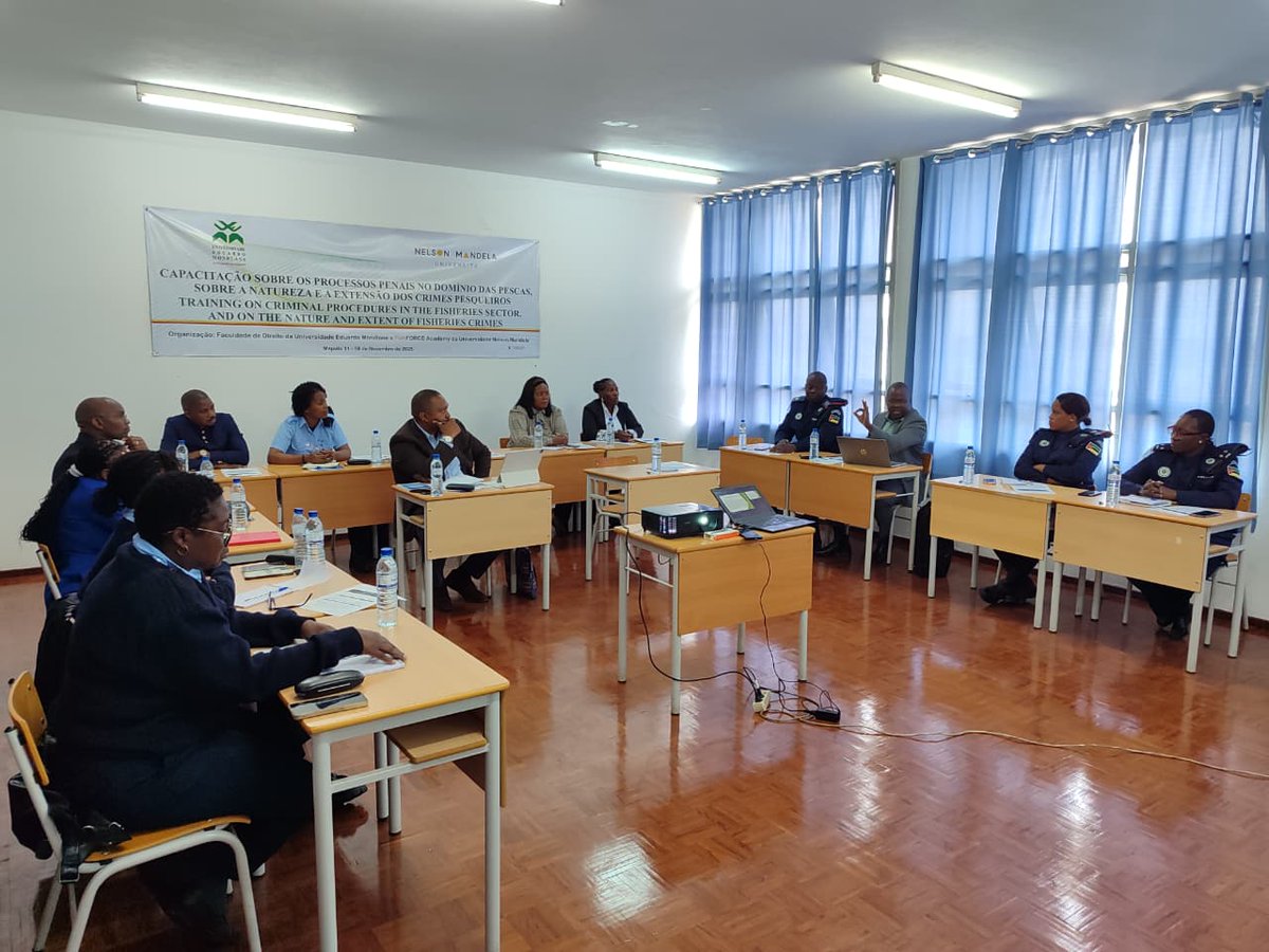 FishFORCE tweet media