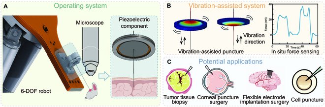 Cyborg and Bionic Systems Journal tweet media