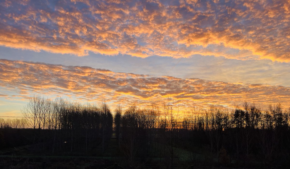 De week begint prachtig aan de Diefdijk!