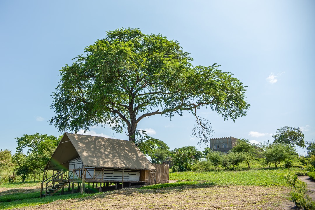 MurchisonPalace's tweet photo. New month. New energy. Live from Murchison Palace at Tangi Gate—where adventure leads the way.

For Reservations
☎️ +256792674532
📧 murchisonpalace@gmail.com 
🌐 https://t.co/x17hqSWzsX 

#FestiveAdventure #ShaheenSafariLodge #WildLuxury #ExploreUganda https://t.co/yaCMoWj6Z7
