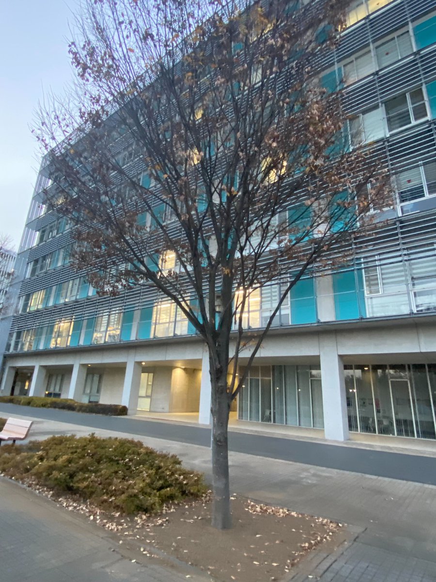 nenv_UTokyo's tweet photo. 12月に入った柏キャンパス、木々の葉っぱも先月よりだいぶ落ちてきました〜🍂
夜はかなり冷えますが、昼間はまだちょっと暖かかったりしますよね🌞❄️
寒暖差が激しい季節なので、みなさん体調には気をつけてお過ごしください！💚🌿
#utokyo #nenv #gsfs https://t.co/e3kq1C0h24