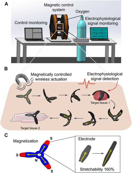 Cyborg and Bionic Systems Journal tweet media
