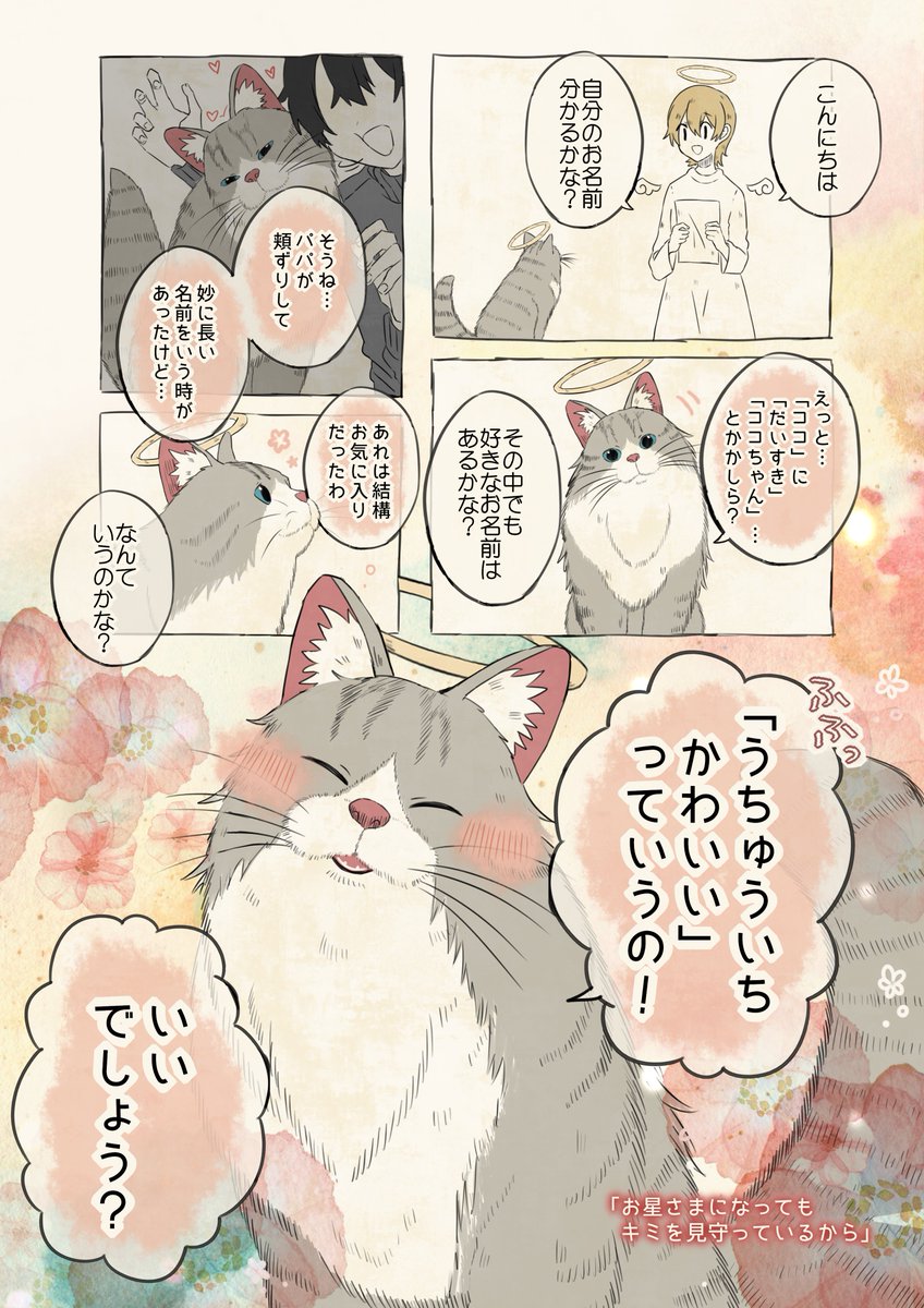自分の名前を勘違いしているサイベリアン 