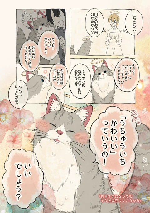 自分の名前を勘違いしているサイベリアン 