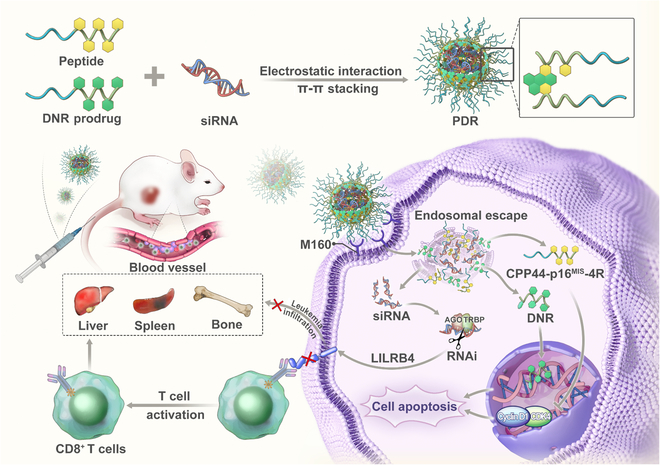 Cyborg and Bionic Systems Journal tweet media